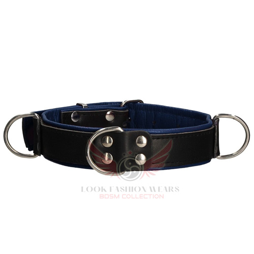 Deluxe Black & Blue Leather Collar