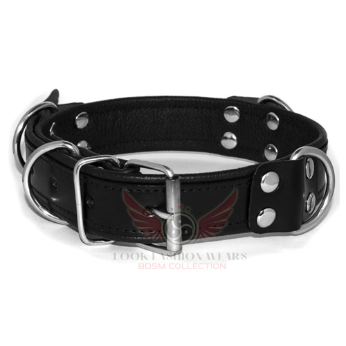 Deluxe Black Leather Collar