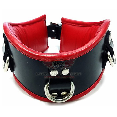 Padded Posture Black & Red Leather Collar with 3-D Rings